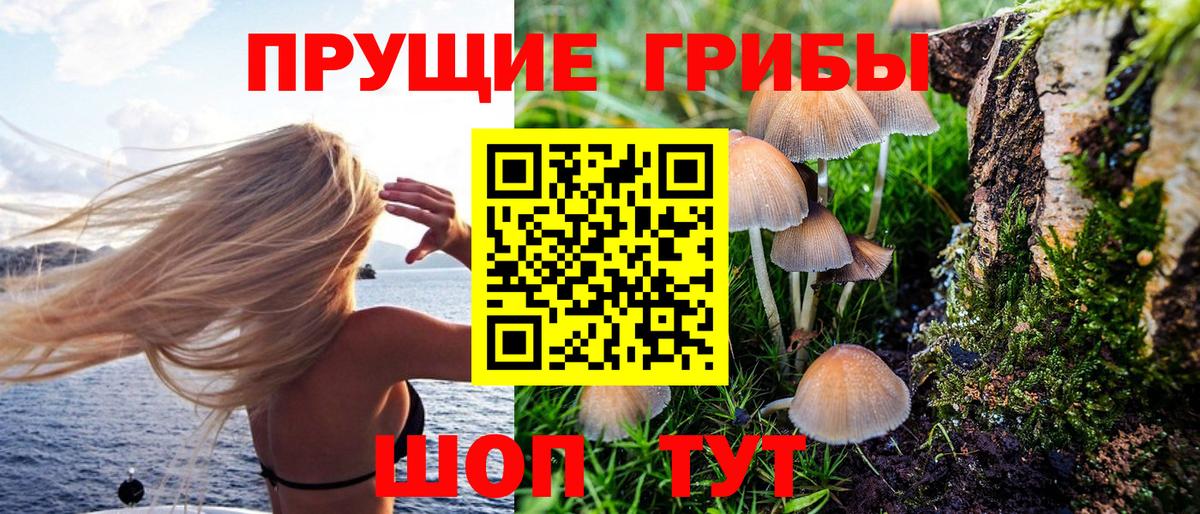 Псилоцибиновые грибы Cubensis Артёмовский