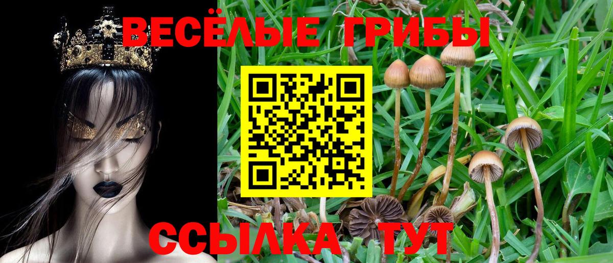 Псилоцибиновые грибы мухоморы  наркошоп  Артёмовский  Вход с VPN 